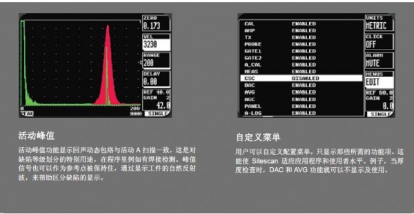 英国Sitescan D20便携式超声波探伤仪